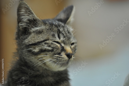 君の笑顔は屈託がなくて会心の笑顔だよね。まさにアニマルセラピーだ。見ているほうもつい笑顔になるよ心が癒される最高の気分だ。ありがとう
