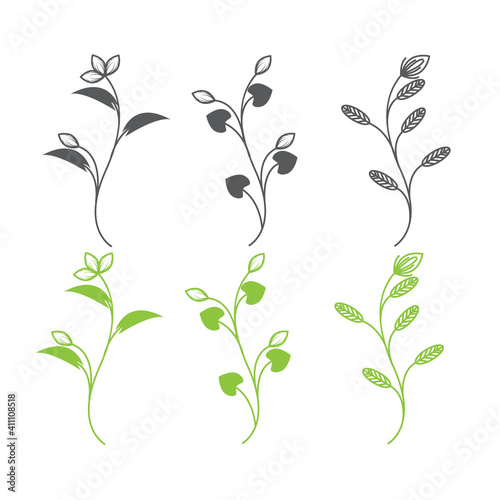 floral Herbs and Wild Flowers. Botany. Set. Vintage flowers. Black and white illustration in carving style.