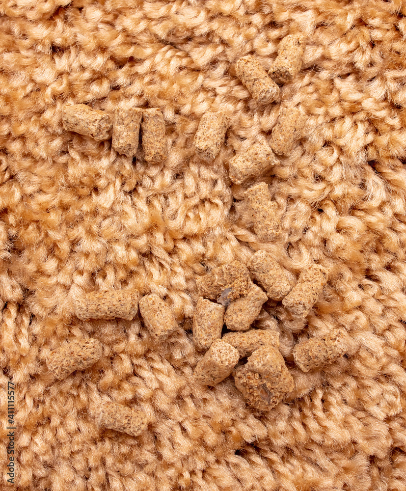 Cat litter on carpet. Close Cat litter on carpet. Close