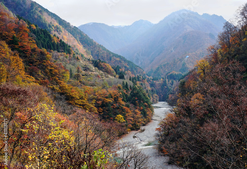 Beautiful view in the autumn season of Kurobe Gorge Railway (Kurobe Kyokoku Tetsudo) ,Toyama of Japan. photo