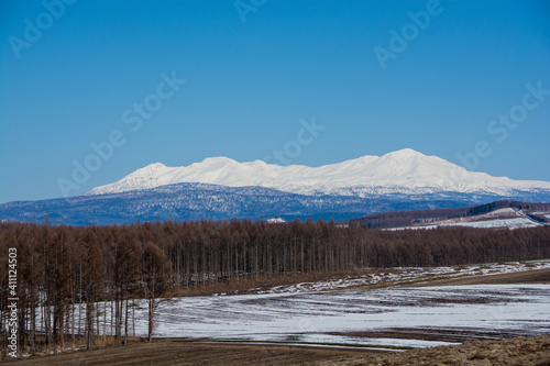 雪が残る春の畑作地帯と雪山 大雪山 