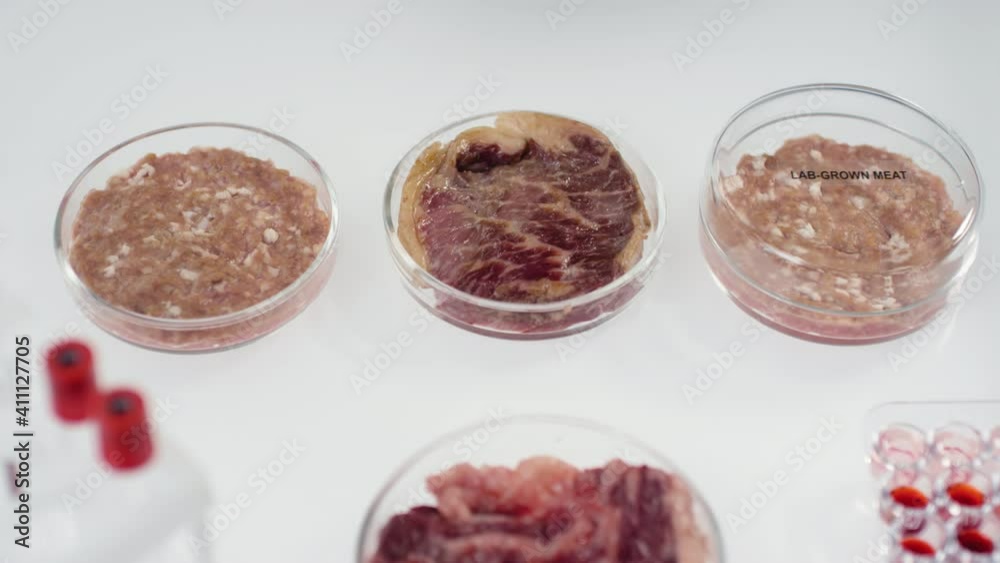 From-above slowmo close-up of unrecognizable microbiologist closing plastic petri dishes with lids with in vitro, soy and lab-grown meat inscription words on them From-above slowmo close-up of unrecognizable microbiologist closing plastic petri dishes with lids with in vitro, soy and lab-grown meat inscription words on them