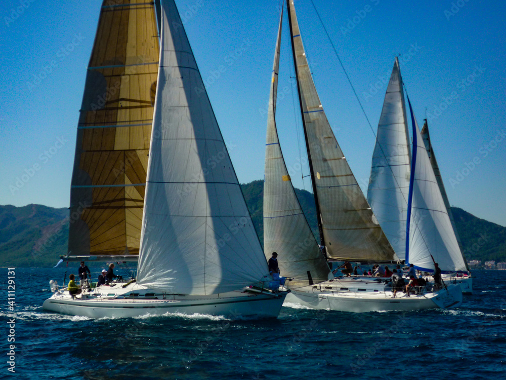 sail boat yacht in race regatta with mountain background