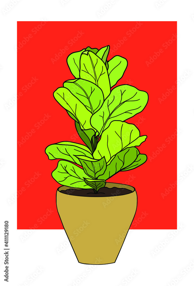 Fototapeta premium Fiddle leaf fig tree in a pot. Home plants, gardening. Vector stock illustration.