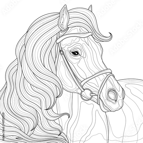 Horse with mane.Coloring book antistress for children and adults. Illustration isolated on white background.Zen-tangle style. Black and white drawing