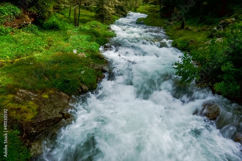 wonderful cold clear creek in a green nature while hiking