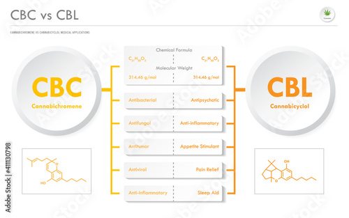 CBC vs CBL, Cannabichromene vs Cannabicyclol horizontal business infographic illustration about cannabis as herbal alternative medicine and chemical therapy, healthcare and medical science vector.