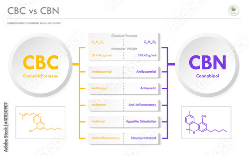 CBC vs CBN, Cannabichromene vs Cannabinol horizontal business infographic illustration about cannabis as herbal alternative medicine and chemical therapy, healthcare and medical science vector.