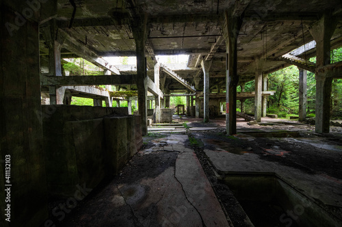 alte ruinen in einem wald betonskellet alt  photo