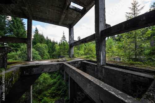 alte ruinen in einem wald betonskellet alt  photo