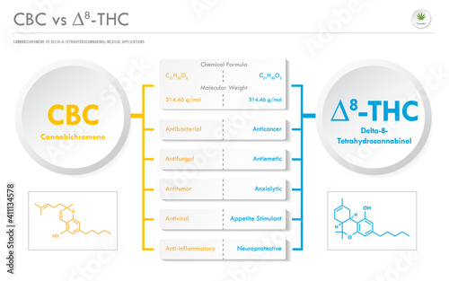 CBC vs ∆8-THC, Cannabichromene vs Delta 8 Tetrahydrocannabinol horizontal business infographic illustration about cannabis as herbal alternative medicine and chemical therapy, healthcare vector.