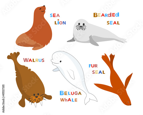 Marine mammals. Cartoon cute characters avatars vector collection.