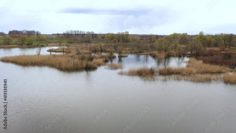 Big swamp near the lake at spring. Drone aerial view Big swamp near the lake at spring. Drone aerial view