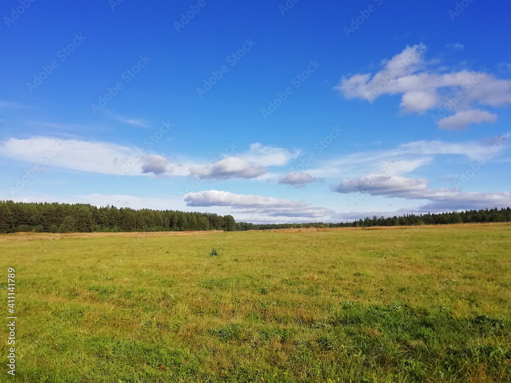 Fresh green grass with blue sky, banner design. Spring season. Photo with copy space