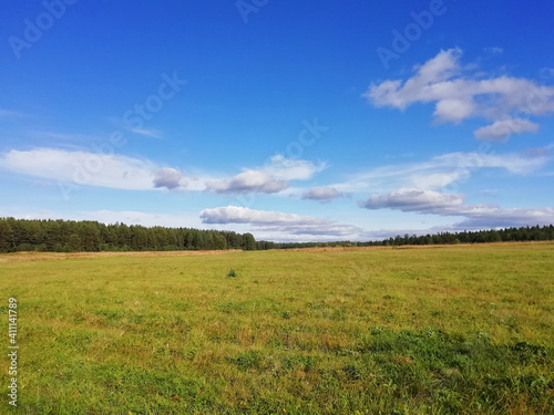 Fresh green grass with blue sky, banner design. Spring season. Photo with copy space