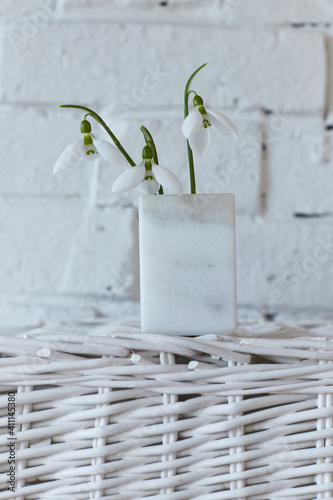 Three Snowdrops in white vase, over white basket, with white brick wall background