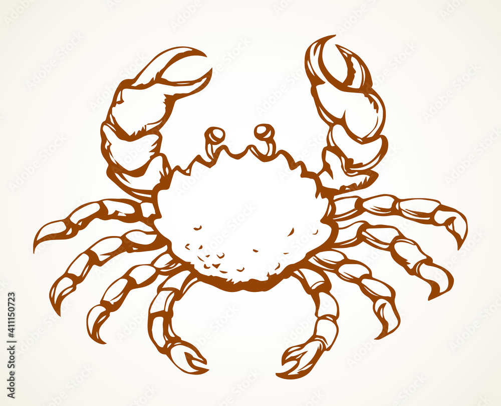 Obraz premium Big sea crab. Vector drawing