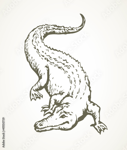 Crocodile. Vector drawing animal icon
