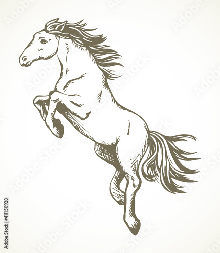 Galloping horse. Vector drawing icon