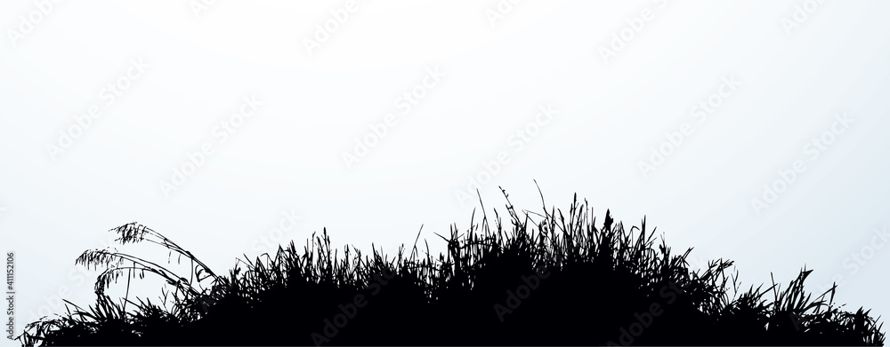 Fototapeta premium Silhouette of grass by the lake. Vector drawing