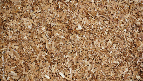 Wooden shavings and sawdust for background and textures.  Recycled material for wall, floor, carpentry, building or packaging. 