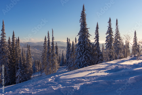 View of the forest from the top of the mountain on a sunny winter day. Evening. The setting sun