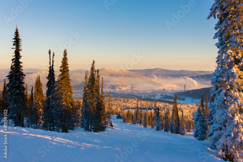 view of the industrial city from the top of the coniferous forest in winter