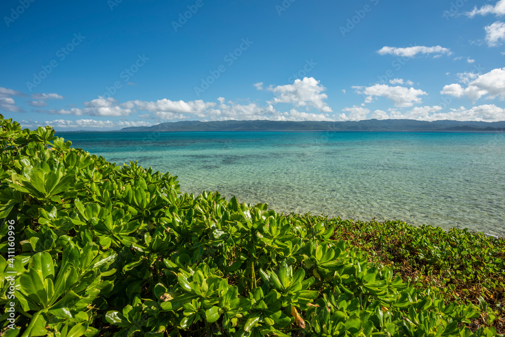 Beautiful contrast between green vegetation, the turquoise sea and the Iriomote island on background, Japan.