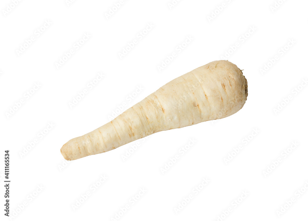 Fresh parsley root isolated on white. Diet and healthy eating Fresh parsley root isolated on white. Diet and healthy eating