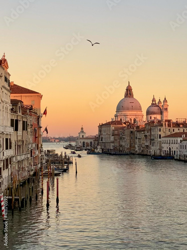 Venice, Italy - winter 2020: view on an empty Grand Canal and Basilica della Salute during sunset with seagull in the sky © Giulia