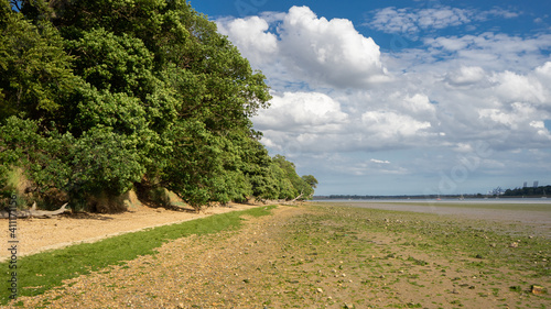Canvastavla River side walk-Suffolk