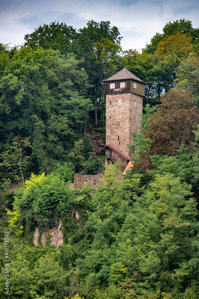 Burg Dauchstein in Binau