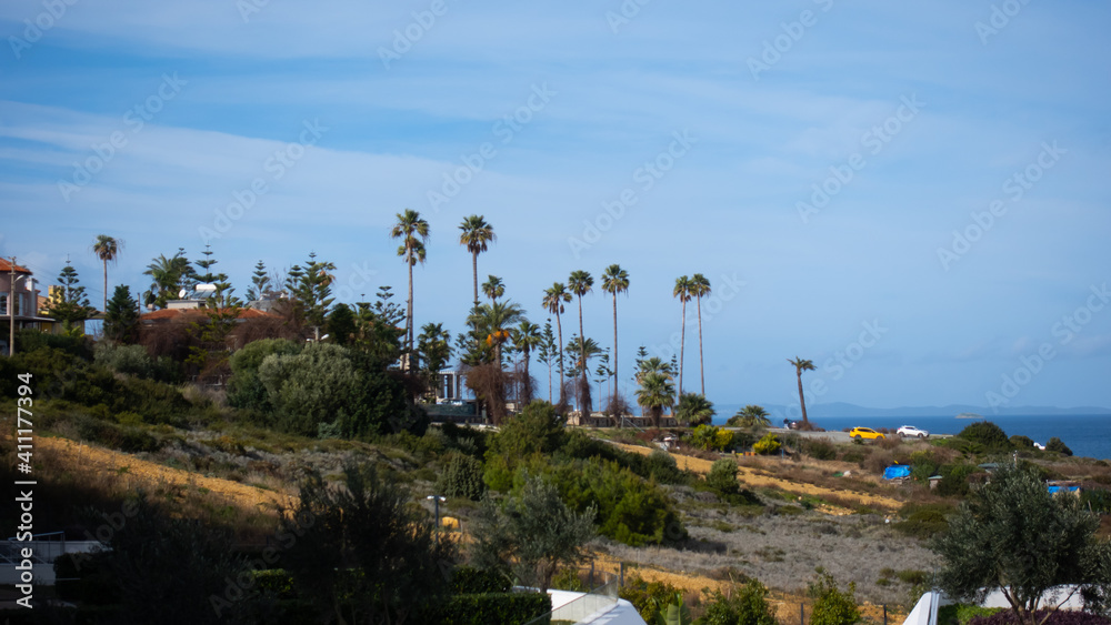 Nice View with palm trees