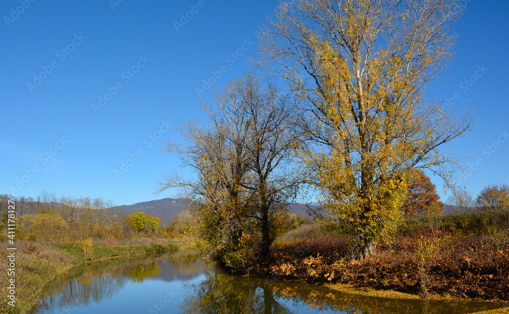 The stream Torrente Malina in the autumn landscape near the village of Moimacco close to Cividale del Friuli, Udine Province, Friuli-Venezia Giulia, north east Italy
The stream Torrente Malina in the autumn landscape near the village of Moimacco close to Cividale del Friuli, Udine Province, Friuli-Venezia Giulia, north east Italy