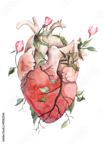 Watercolor illustration of the heart organ overgrown with florals