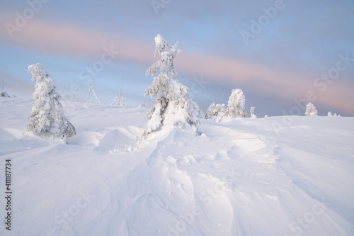 Landscape in winter from Vladeasa mountain, a mountain from Apuseni mountain range