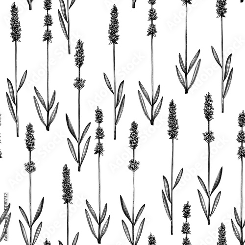 Ink hand drawn lavender backdrop. Vector herbs seamless pattern with lavender sketches. Herbal tea ingredients. Perfect for cosmetic, perfumery packing, fabric, wrapping paper, prints.