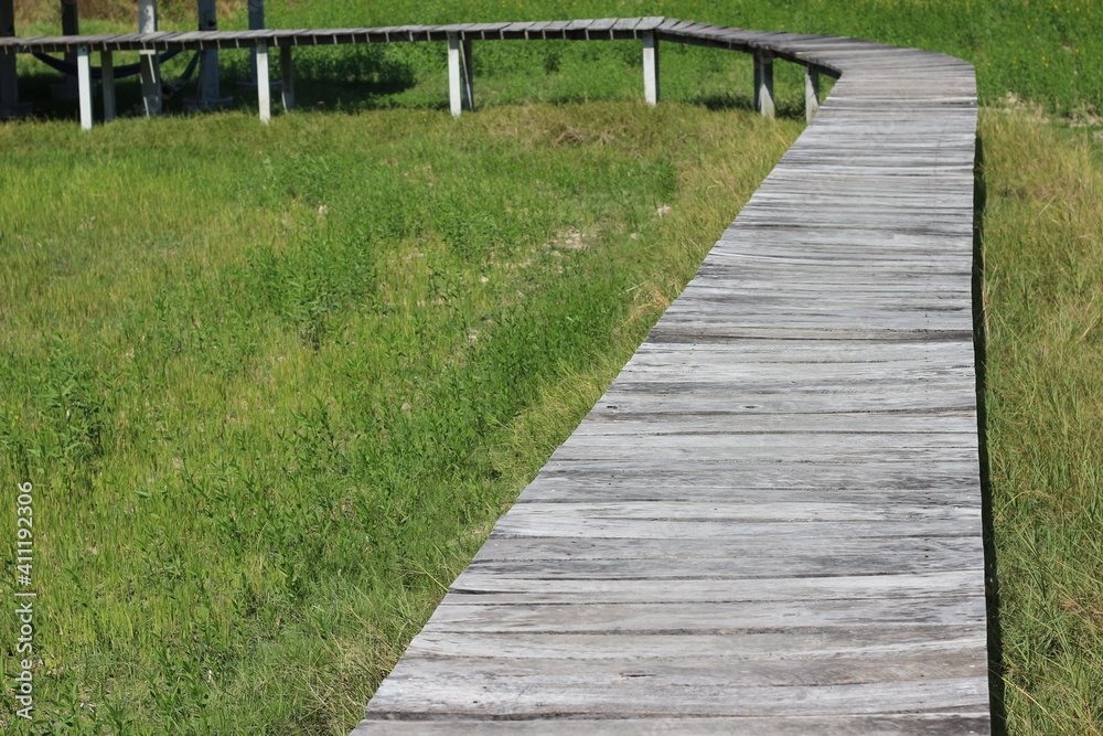 View of a wooden walkway in the natural grass