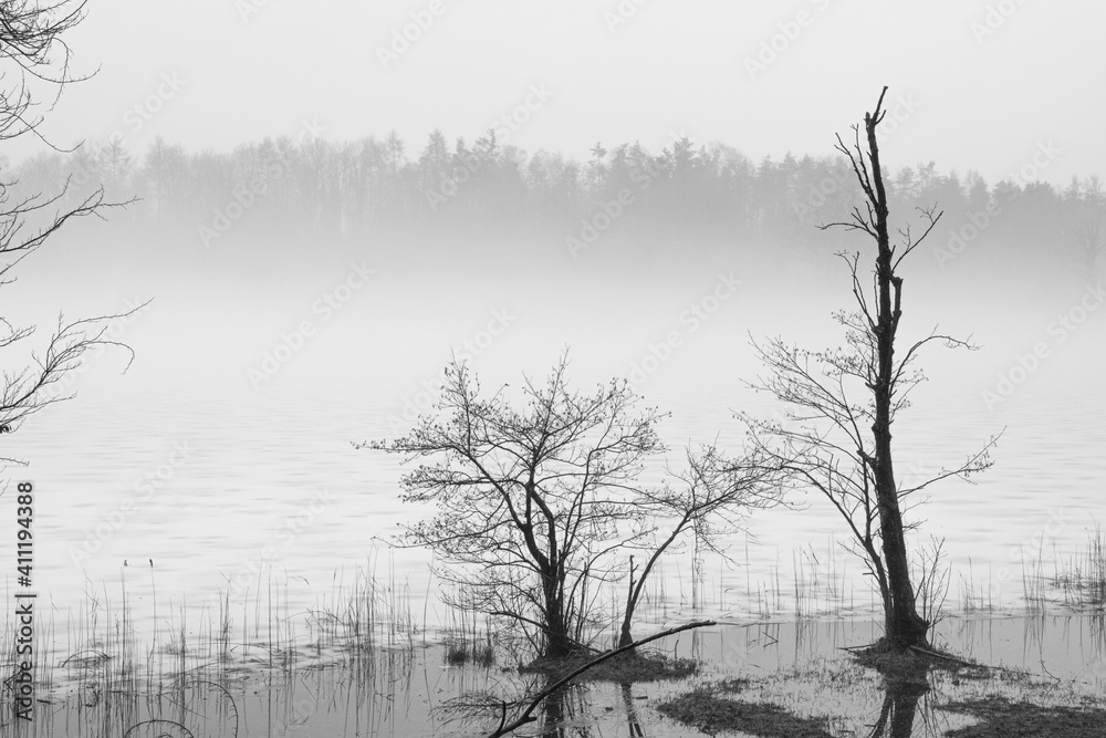 Nebbia Sul Lago