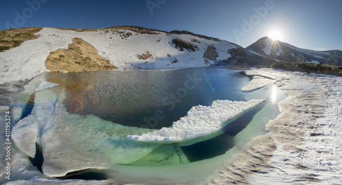 fantastic flowers - crocuses