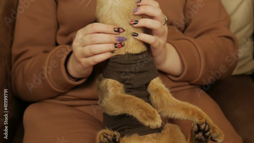 Girl Stroking A Cat In Her Arms