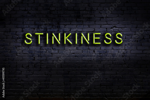Night view of neon sign on brick wall with inscription stinkiness photo