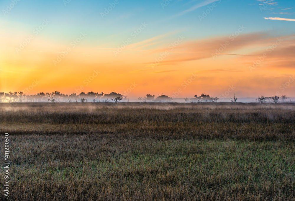 Sunrise over the foggy marsh