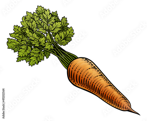 Carrot vegetable illustration in a vintage retro woodcut etching style.