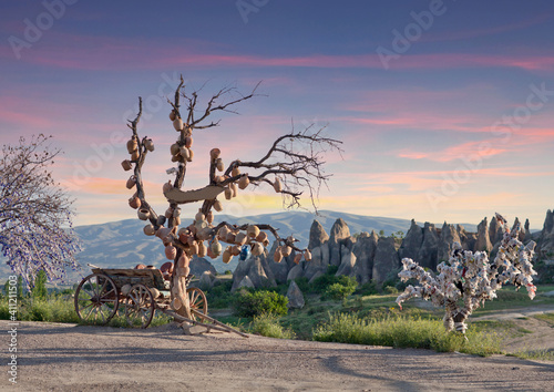 Fotografia Tree Of Wishes in Cappadocia, Central Anatolia, Turkey