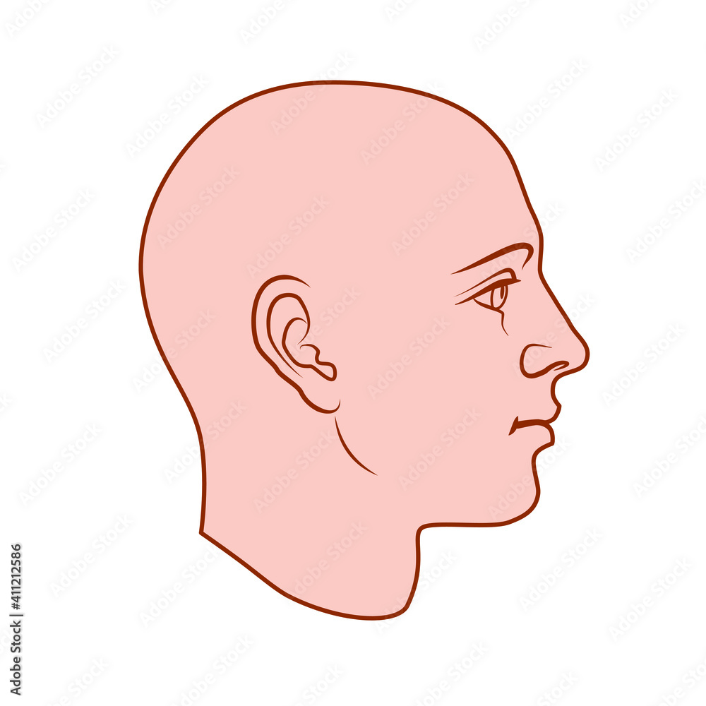 Hand drawn model of human head in side view. Colored flat vector drawing isolated on white background. EPS 8.