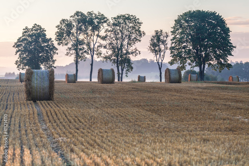 Fototapeta Naklejka Na Ścianę i Meble -  View of the Masurian fields.