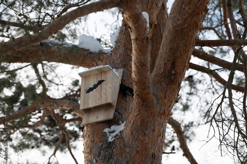 Bat house on tree in Stockholm, Sweden