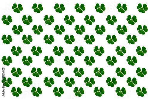 green clover leaves isolated on white background. St.Patrick  s Day