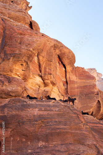 Jordan Desert, Petra, ancient City © andrei